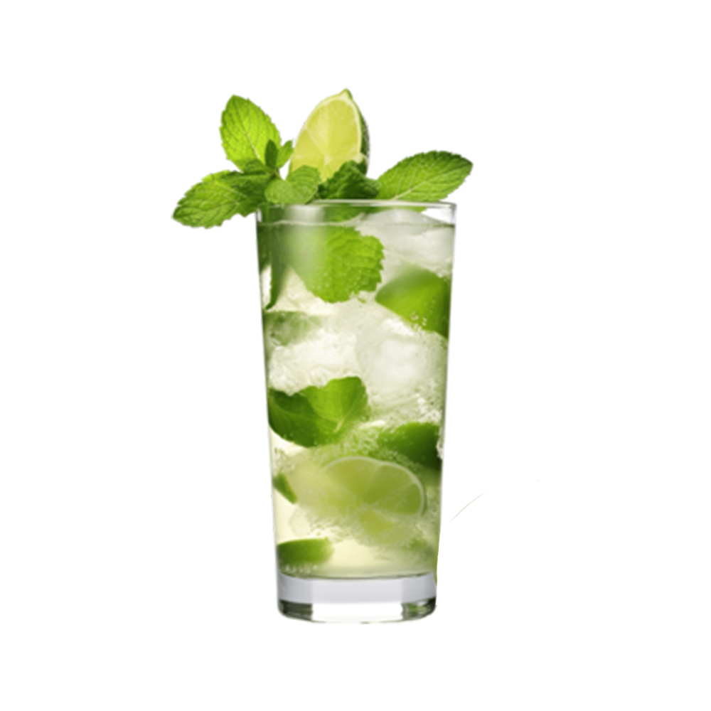 Aqua Lime Mojito