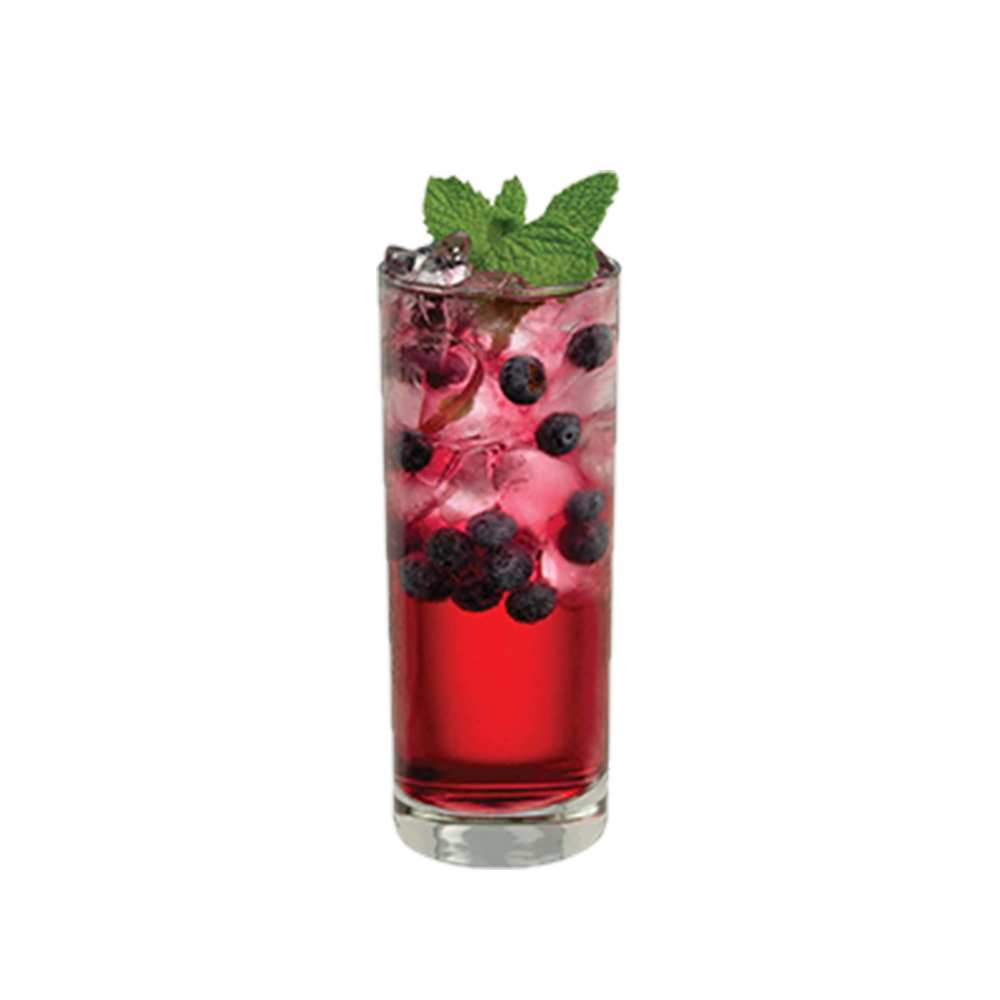 Blueberry Mojito